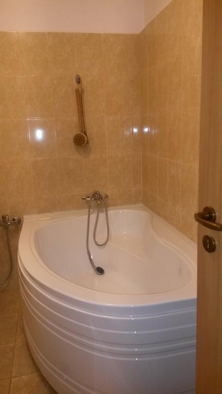 Otopeni Therme Airport Apartment Δωμάτιο φωτογραφία